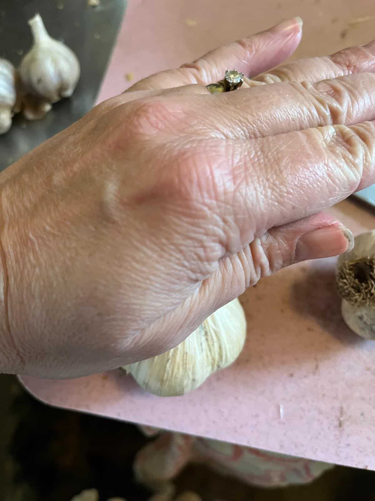 Breaking apart a head of garlic