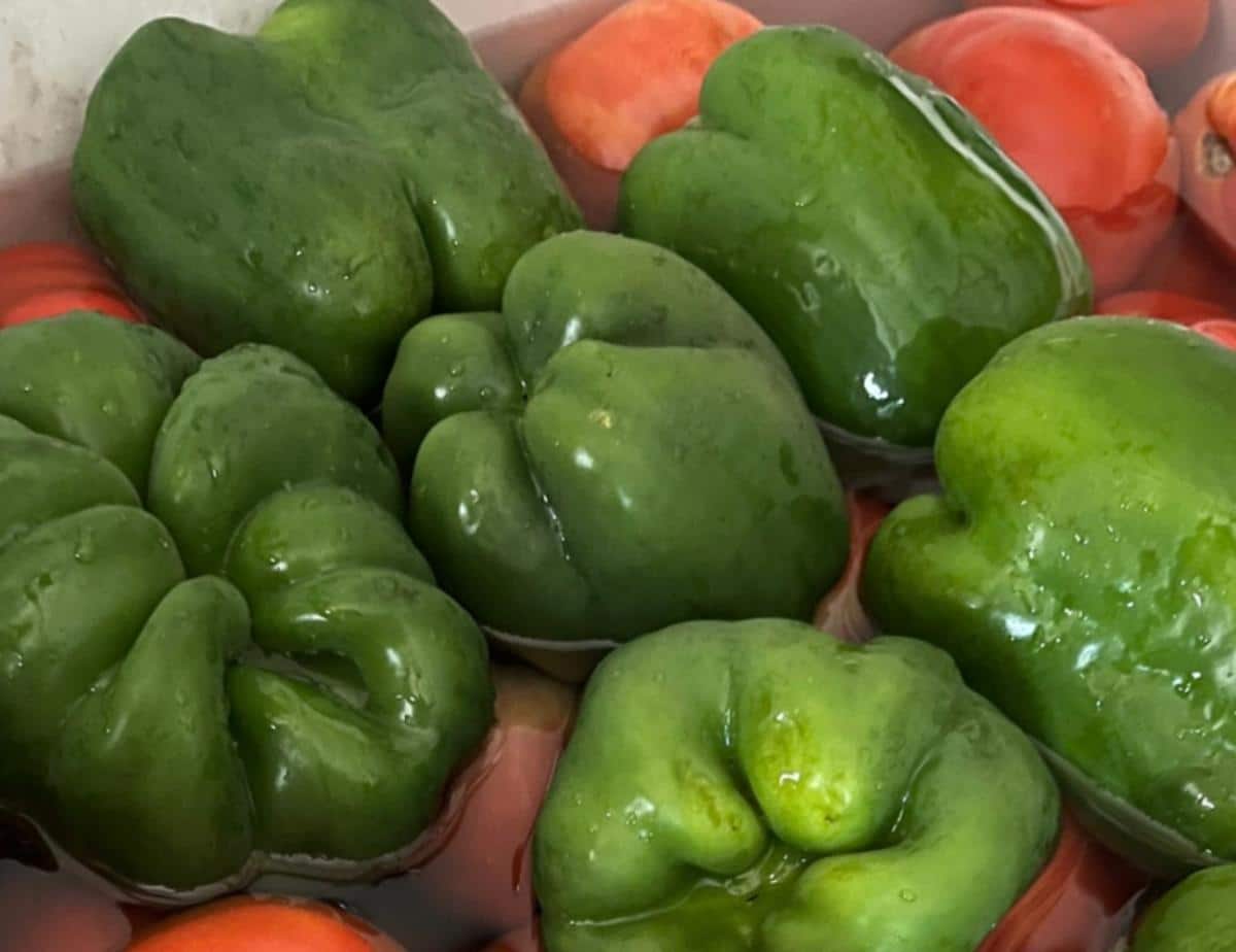 Preparing peppers for preserving