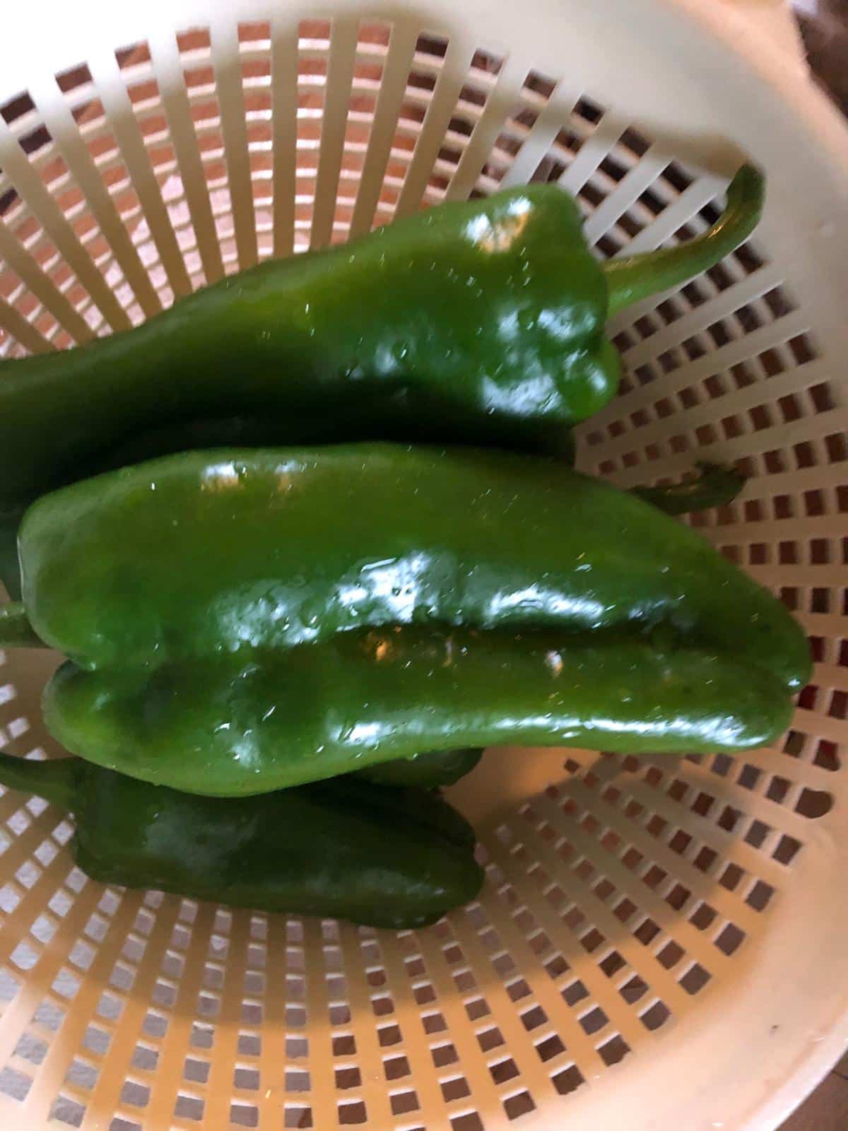 Preserving garden peppers