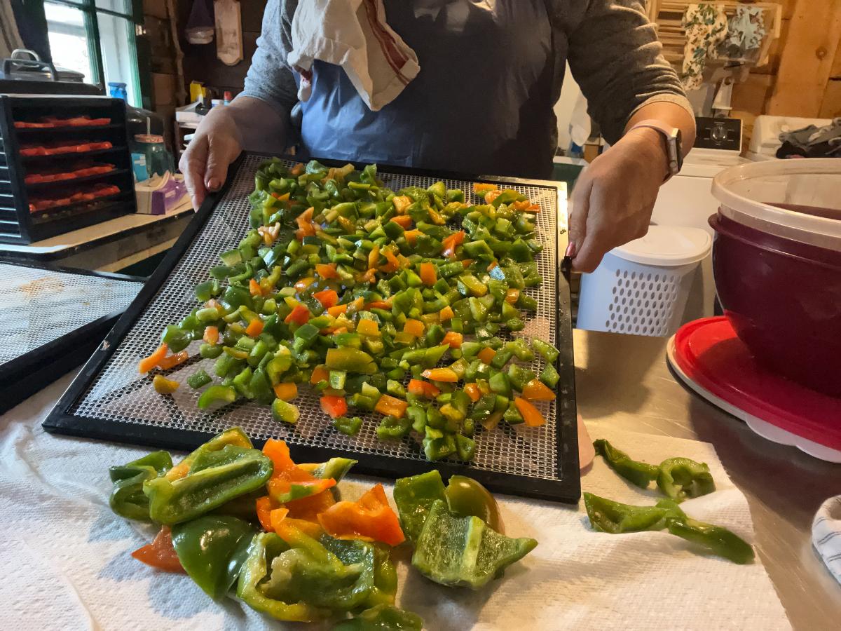 Drying peppers for preserving