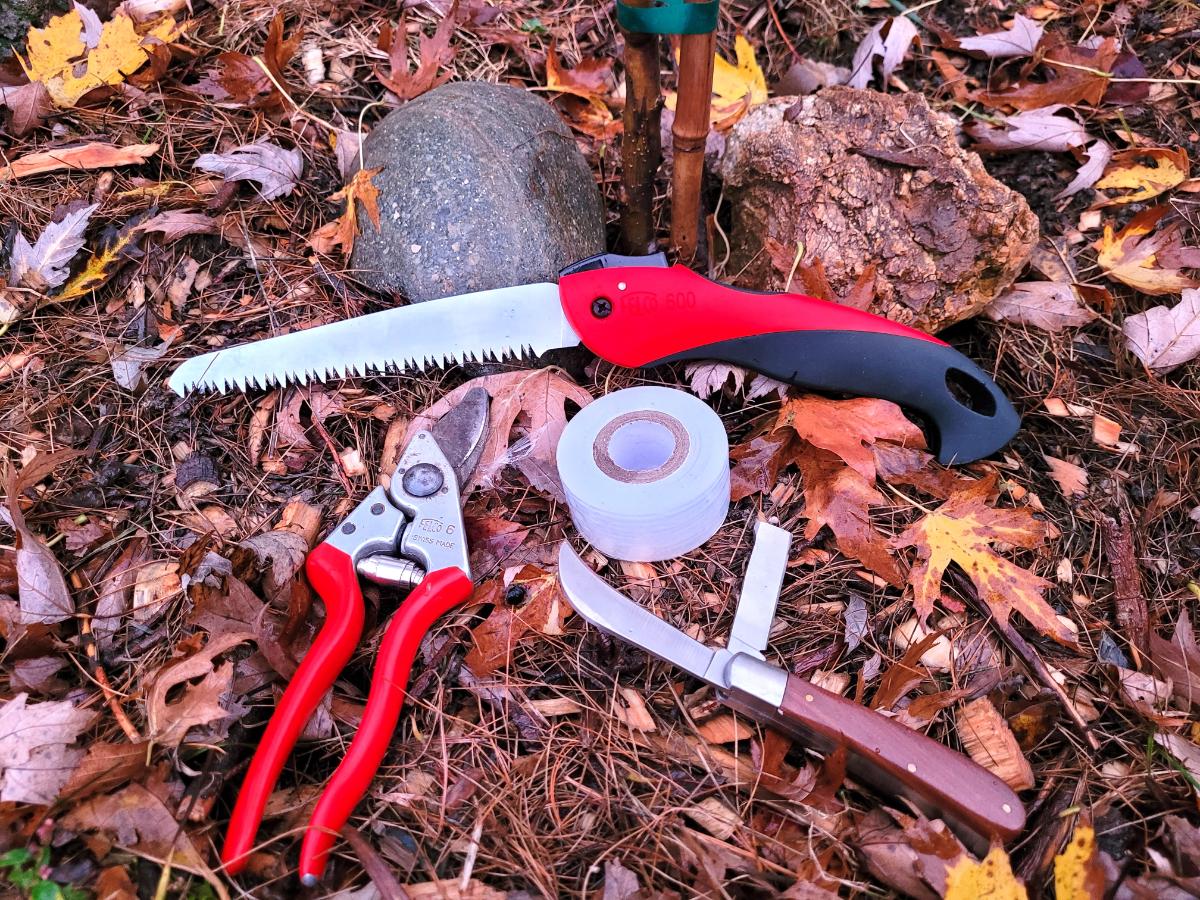 Fruit tree pruning tools