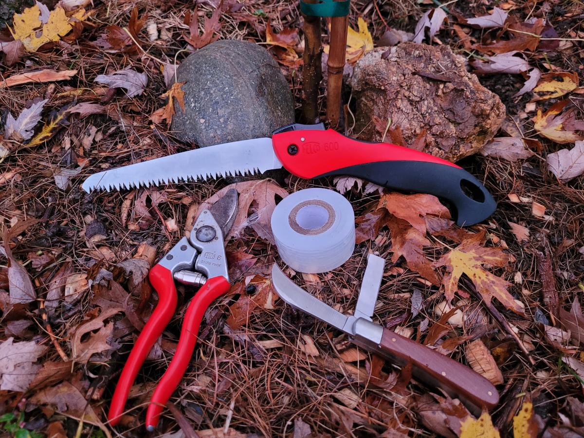 Grafting equipment for a 5 in 1 fruit tree