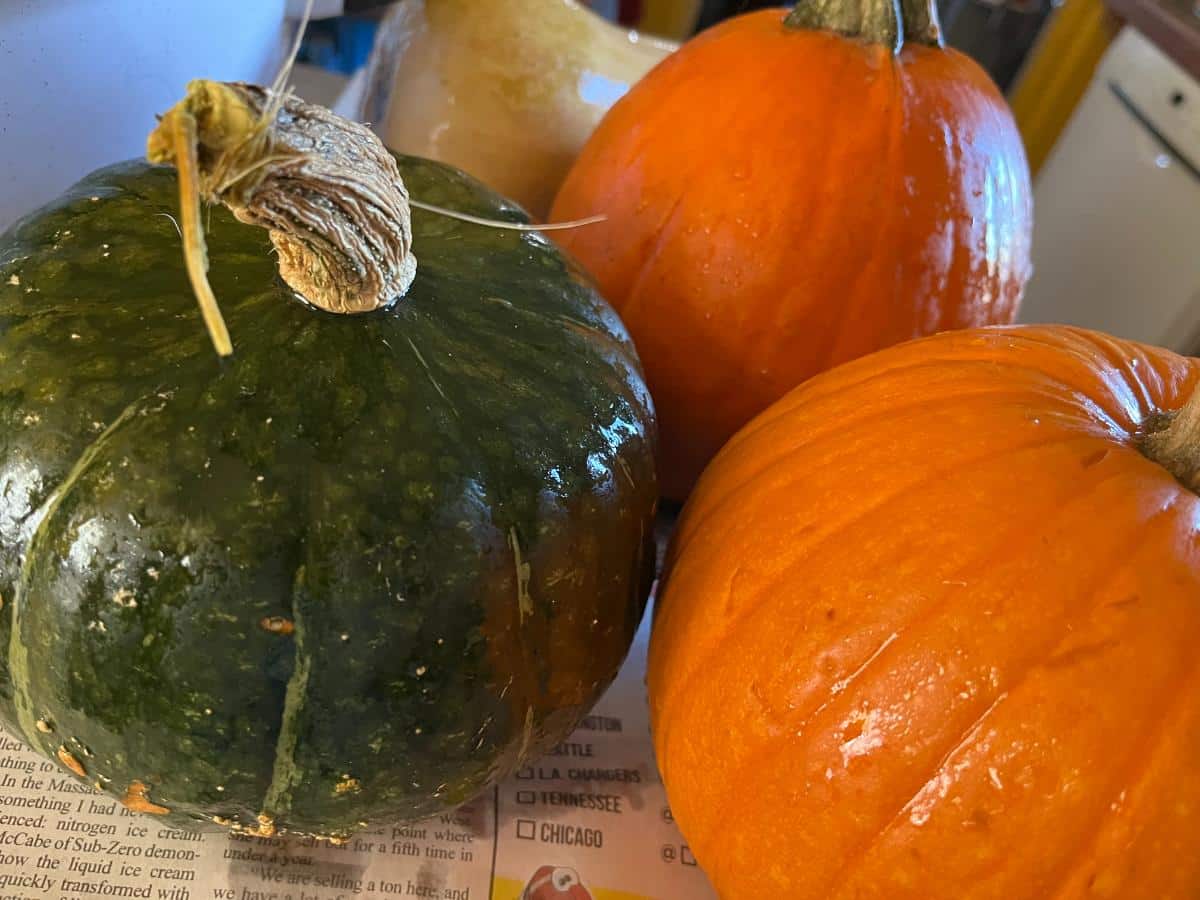 Pumpkins and squash from storage crops