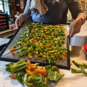 Chopped peppers on a dehydrator sheet.