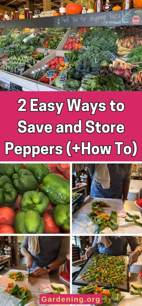 2 Easy Ways to Save and Store Peppers (+How To) pinterest image