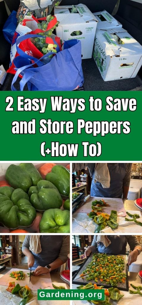 2 Easy Ways to Save and Store Peppers (+How To) pinterest image