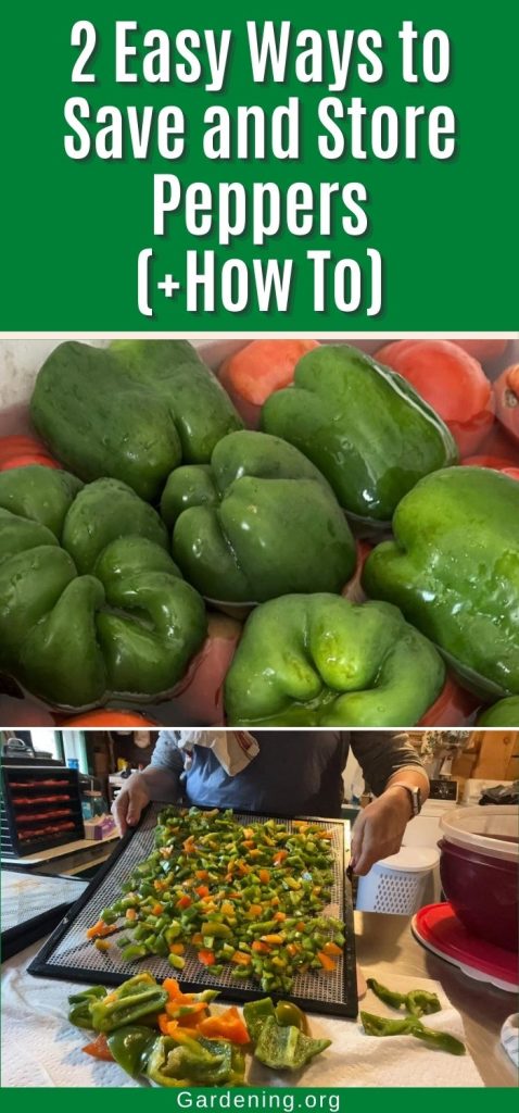 2 Easy Ways to Save and Store Peppers (+How To) pinterest image