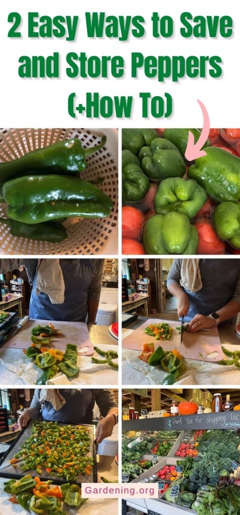 2 Easy Ways to Save and Store Peppers (+How To) pinterest image