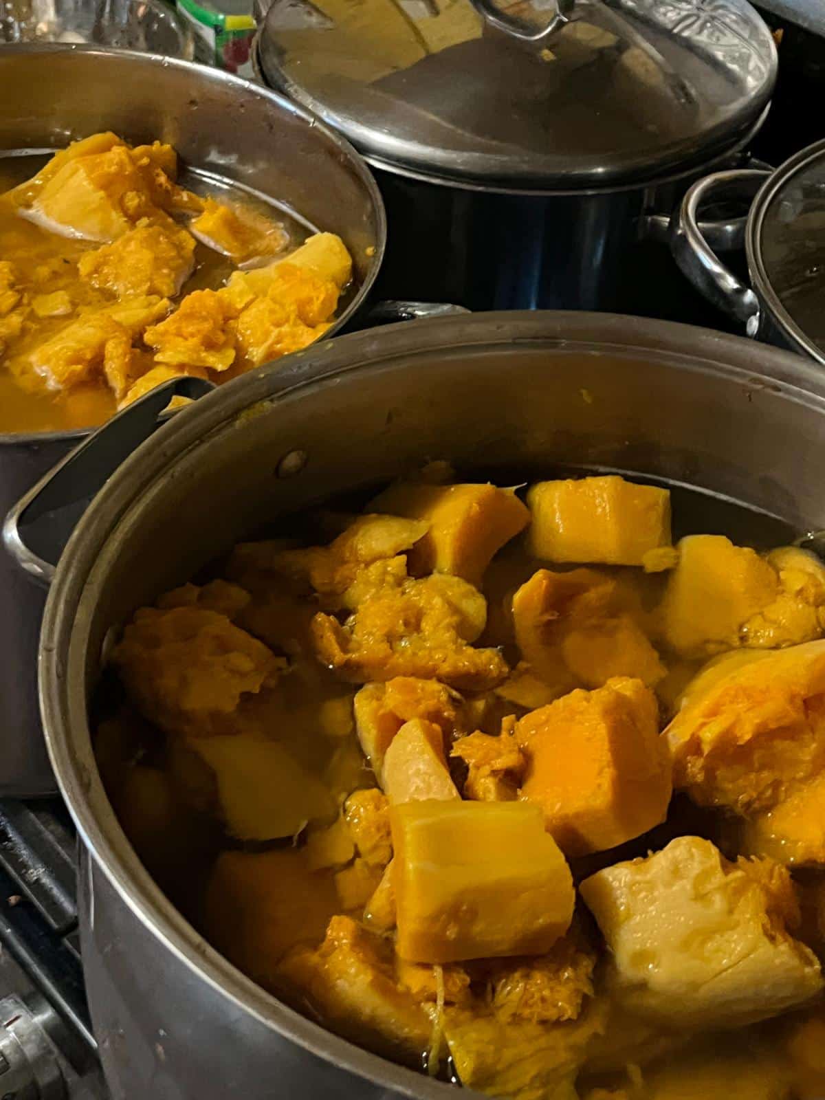 baking chopped winter squash in a pot