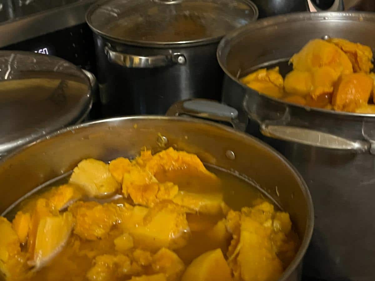 Roasted squash simmering in broth