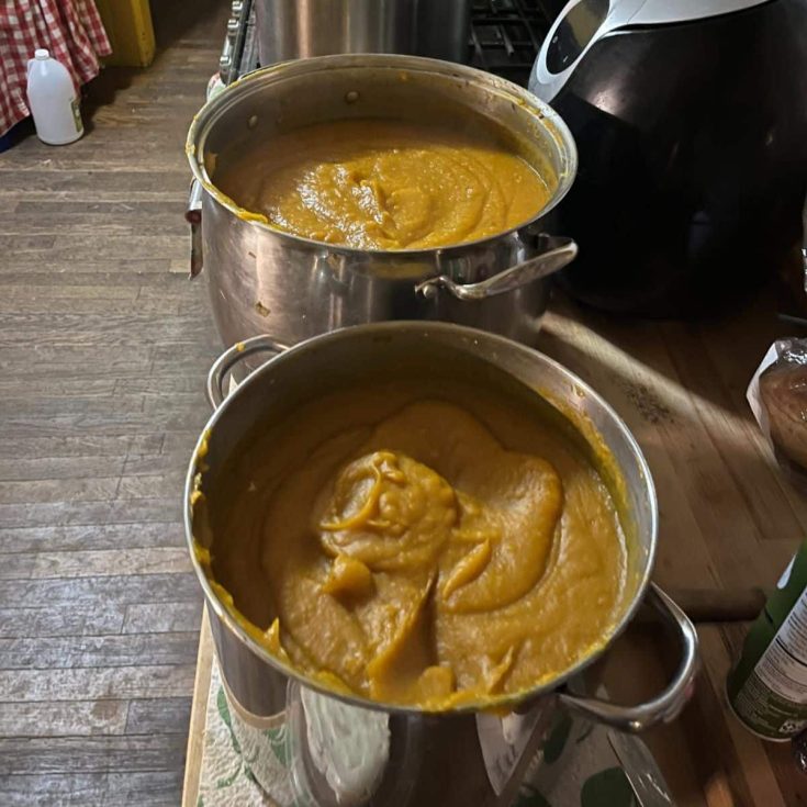 Simple, Clean, Roasted Squash Soup