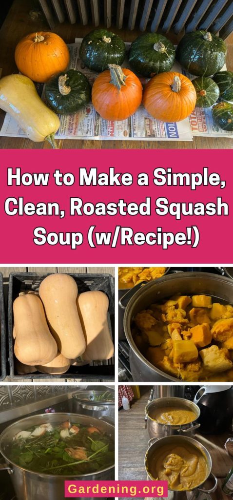 How to Make a Simple, Clean, Roasted Squash Soup (w/Recipe!) pinterest image