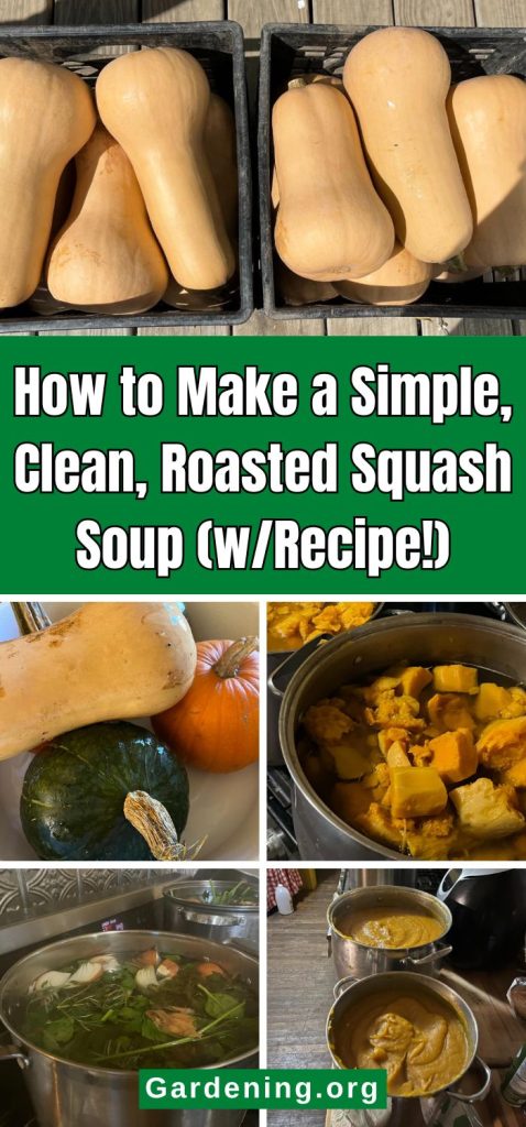 How to Make a Simple, Clean, Roasted Squash Soup (w/Recipe!) pinterest image