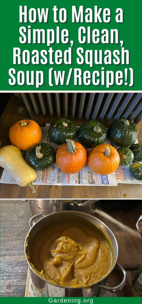 How to Make a Simple, Clean, Roasted Squash Soup (w/Recipe!) pinterest image