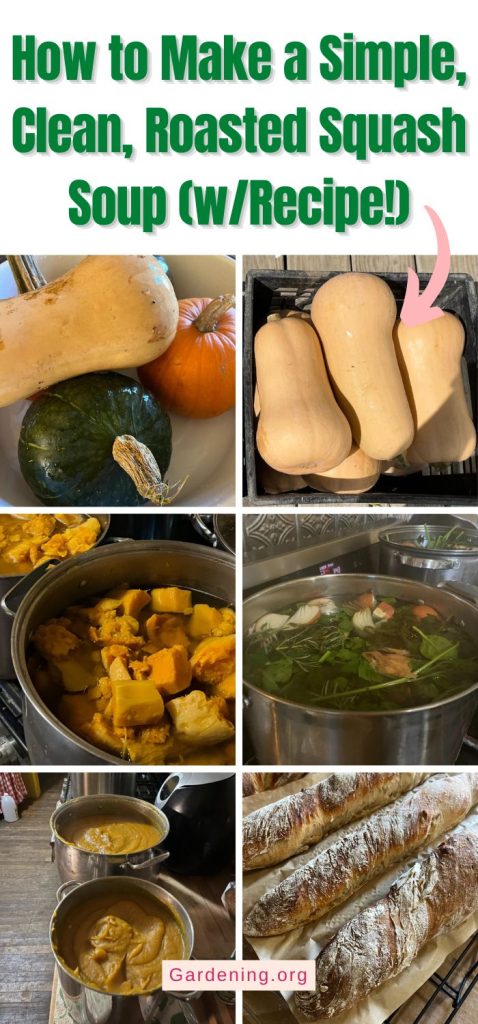 How to Make a Simple, Clean, Roasted Squash Soup (w/Recipe!) pinterest image