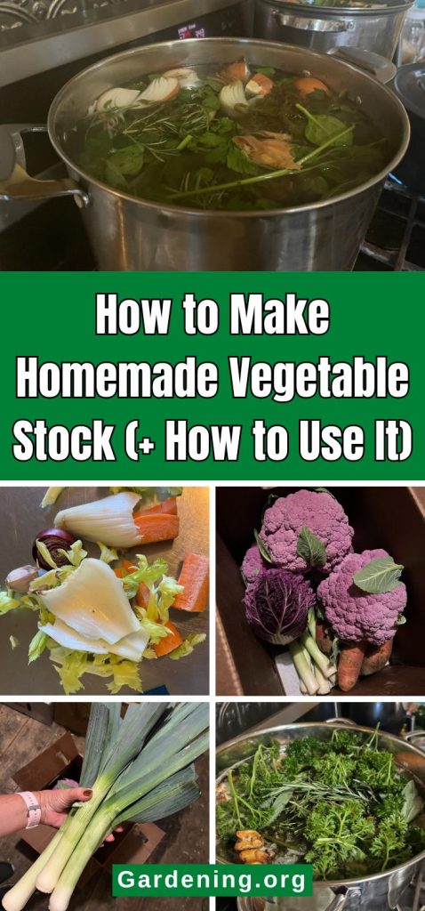 How to Make Homemade Vegetable Stock (+ How to Use It) pinterest image