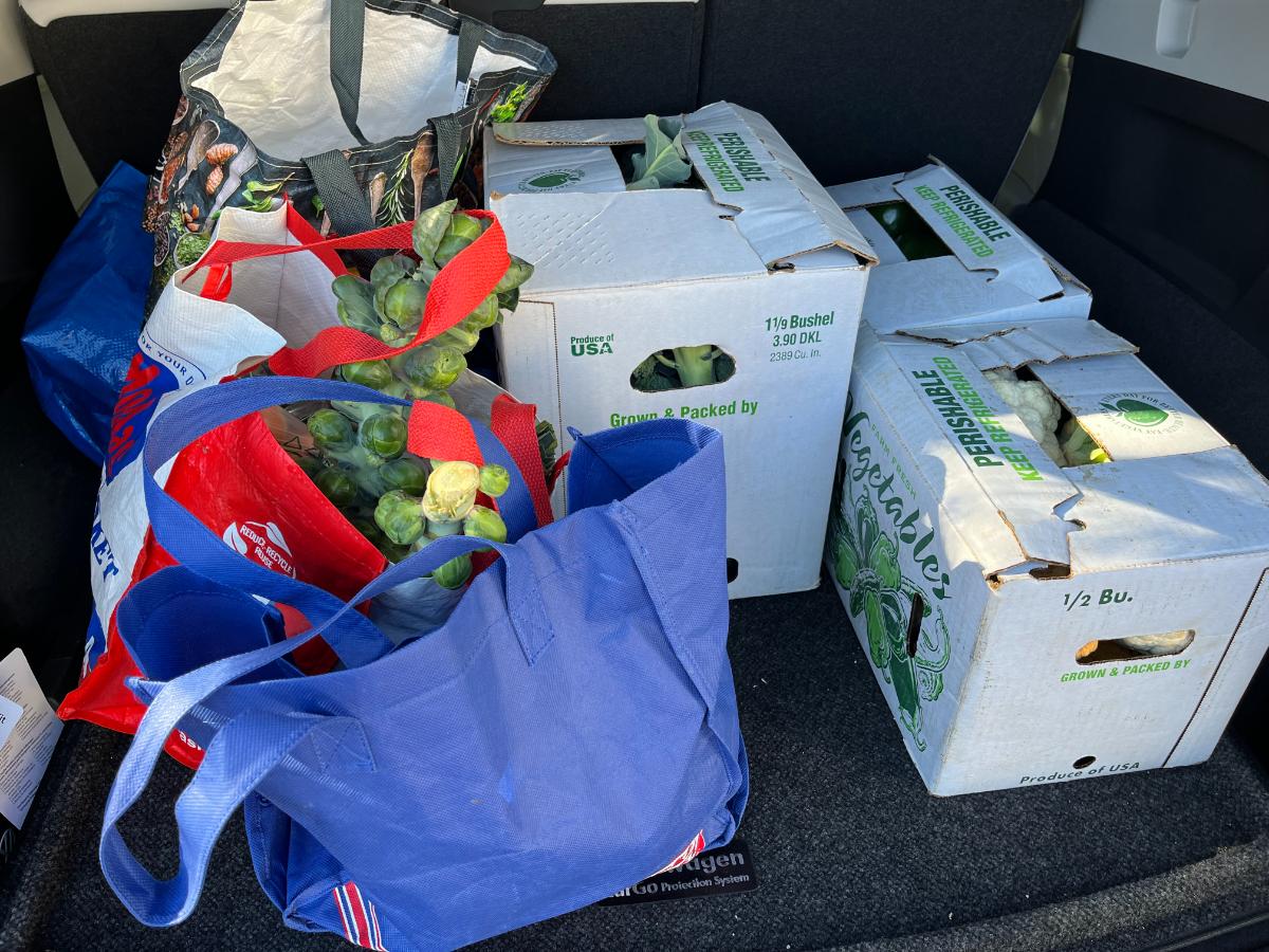 Local vegetables to preserve for winter