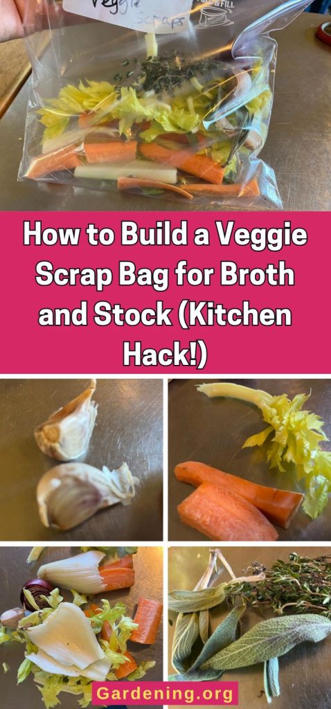 How to Build a Veggie Scrap Bag for Broth and Stock (Kitchen Hack!) pinterest image