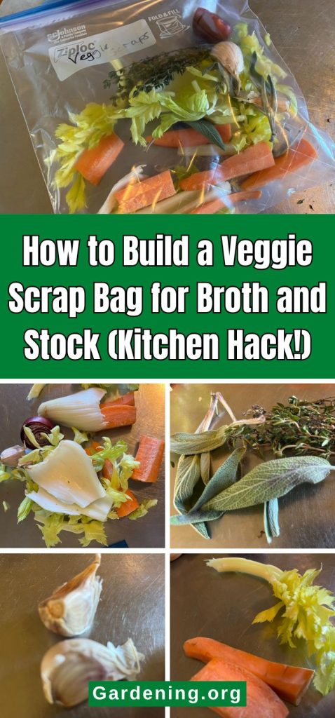 How to Build a Veggie Scrap Bag for Broth and Stock (Kitchen Hack!) pinterest image