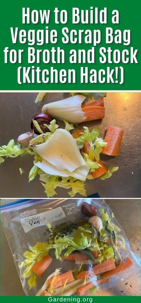 How to Build a Veggie Scrap Bag for Broth and Stock (Kitchen Hack!) pinterest image