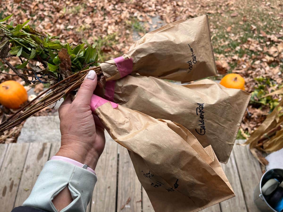 Labeled bags of collected wildflower seeds