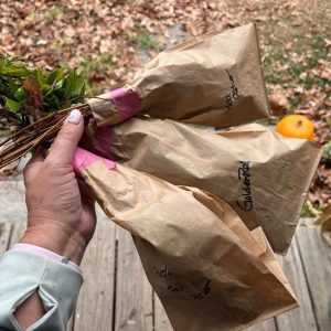 DIY Wildflower Seed Mix in paper bags