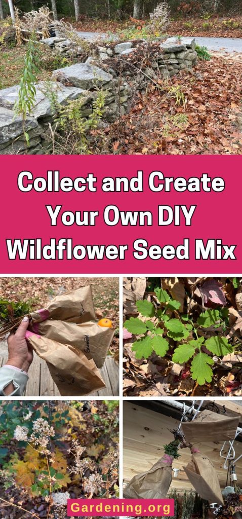 Collect and Create Your Own DIY Wildflower Seed Mix pinterest image