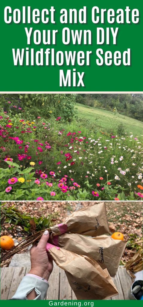 Collect and Create Your Own DIY Wildflower Seed Mix pinterest image