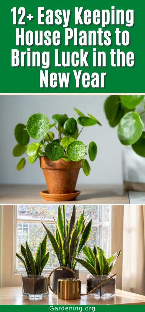 12+ Easy Keeping House Plants to Bring Luck in the New Year pinterest image