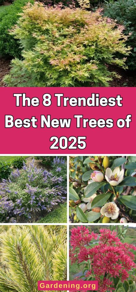 The Trendiest Best New Trees of 2025 pinterest image