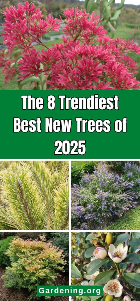 The Trendiest Best New Trees of 2025 pinterest image