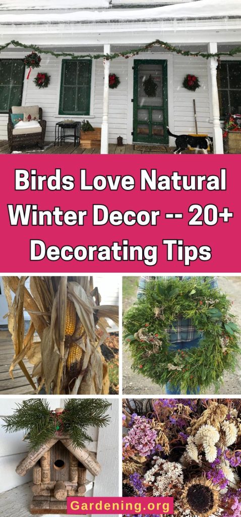 Birds Love Natural Winter Decor -- 20+ Decorating Tips pinterest image