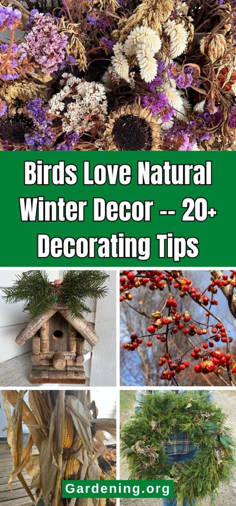 Birds Love Natural Winter Decor -- 20+ Decorating Tips pinterest image