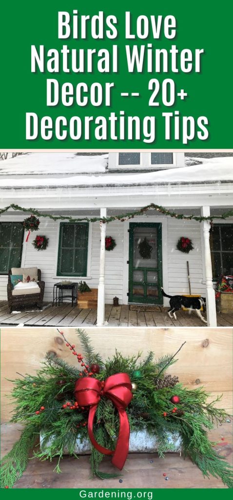 Birds Love Natural Winter Decor -- 20+ Decorating Tips pinterest image