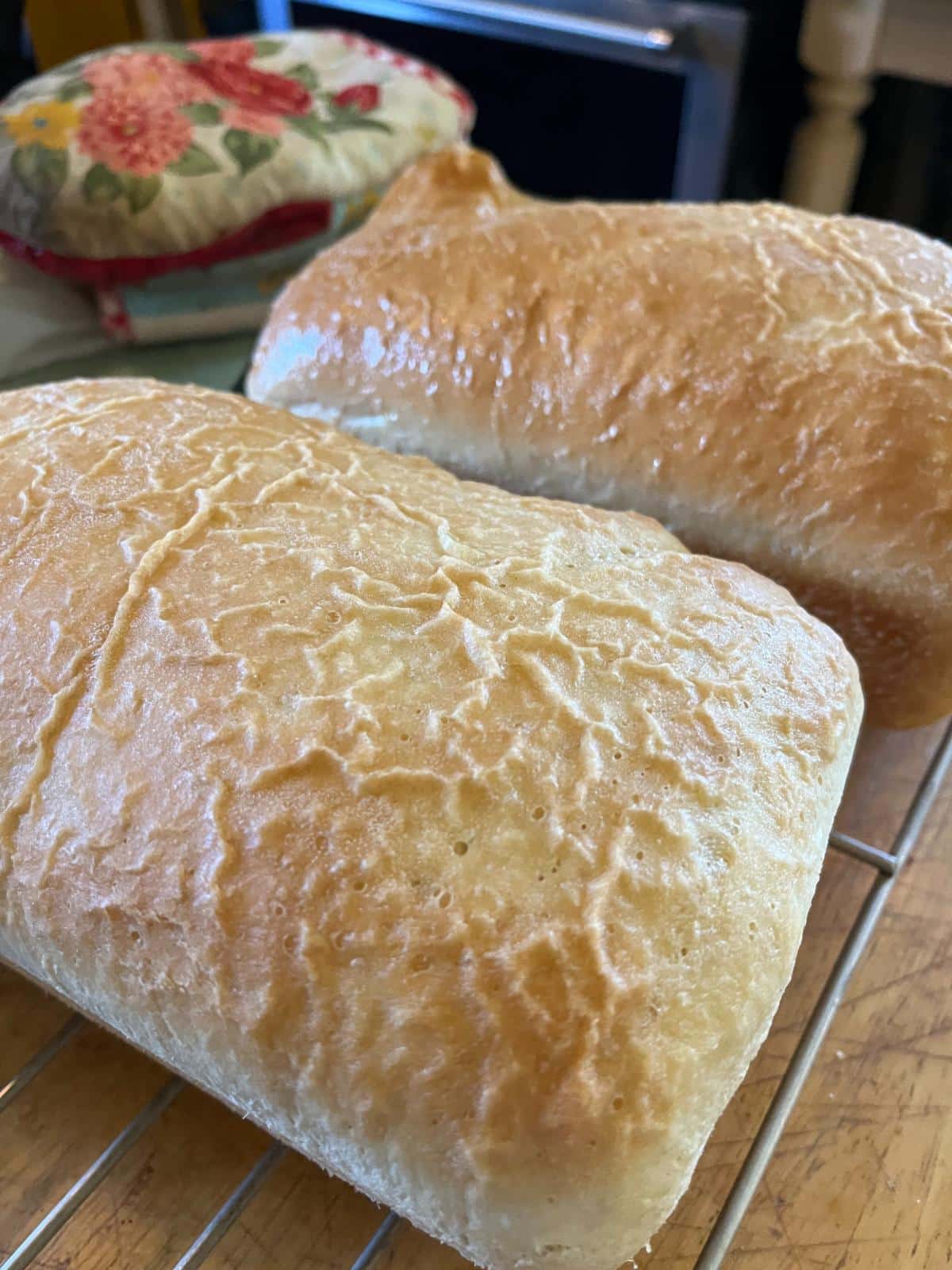 Freshly baked bread risen in a dehydrator