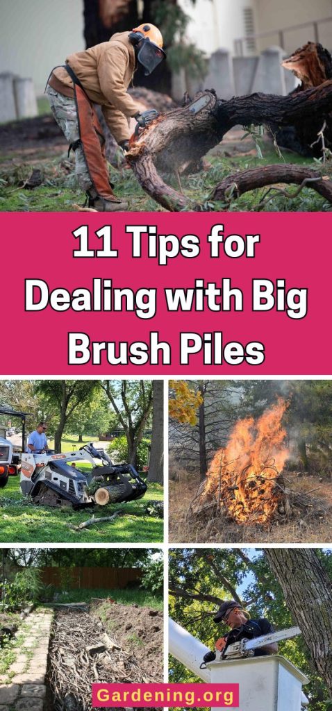 11 Tips for Dealing with Big Brush Piles pinterest image