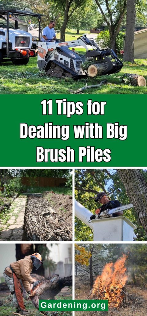 11 Tips for Dealing with Big Brush Piles pinterest image