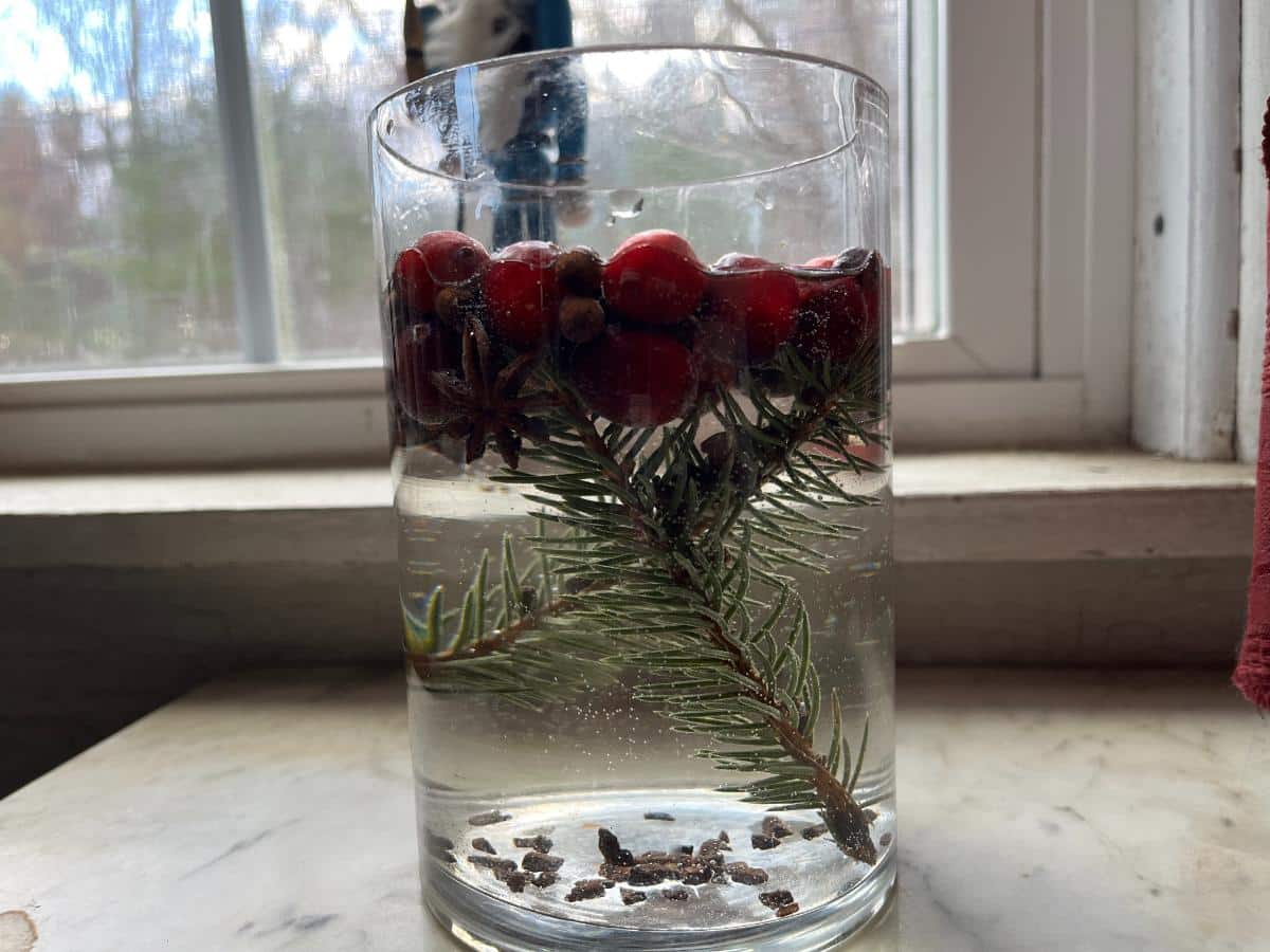 A simmer pot with tree sprigs