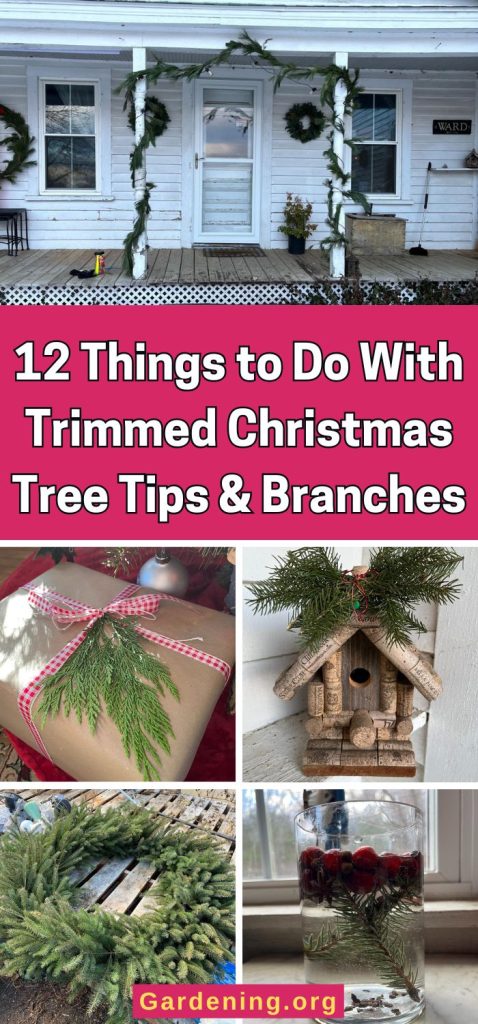 12 Things to Do With Trimmed Christmas Tree Tips & Branches pinterest image