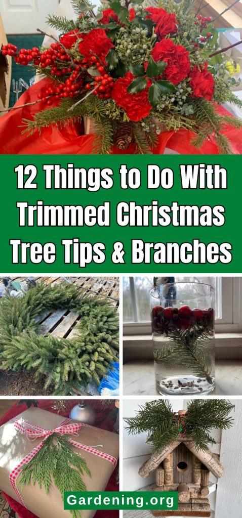 12 Things to Do With Trimmed Christmas Tree Tips & Branches pinterest image