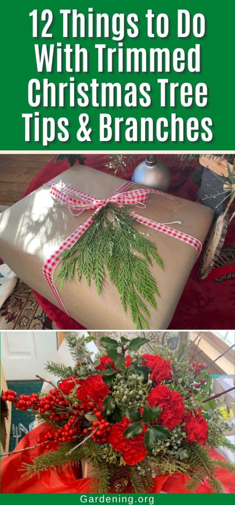 12 Things to Do With Trimmed Christmas Tree Tips & Branches pinterest image