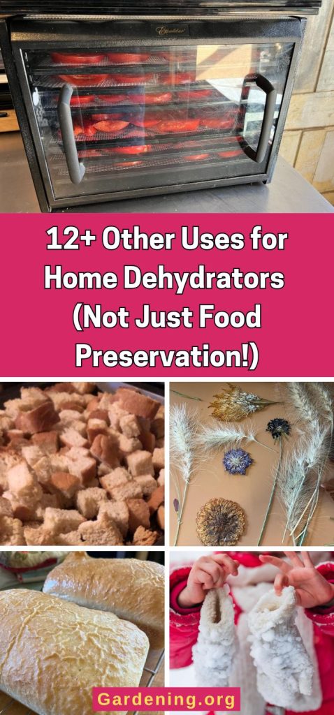 12+ Other Uses for Home Dehydrators (Not Just Food Preservation!) pinterest image