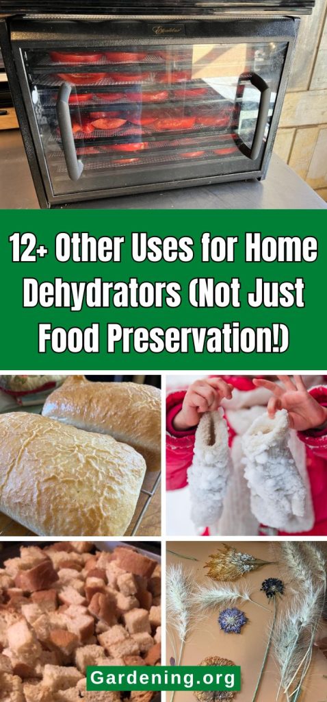 12+ Other Uses for Home Dehydrators (Not Just Food Preservation!) pinterest image