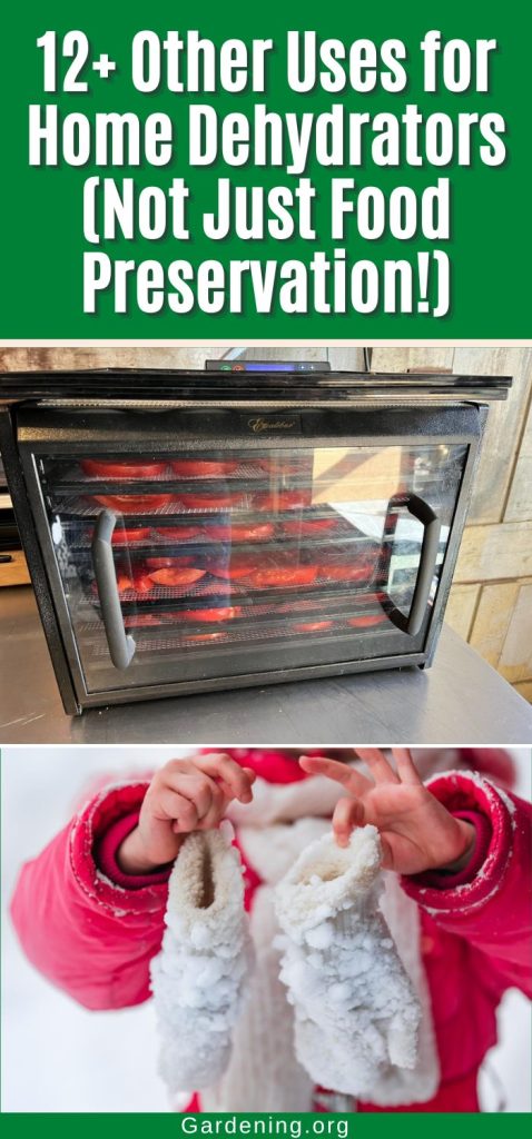 12+ Other Uses for Home Dehydrators (Not Just Food Preservation!) pinterest image