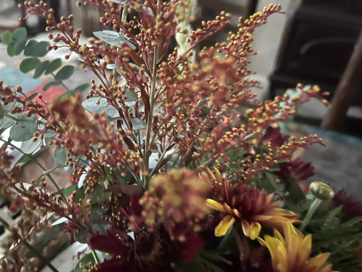 Seedy sprigs in a flower arrangement