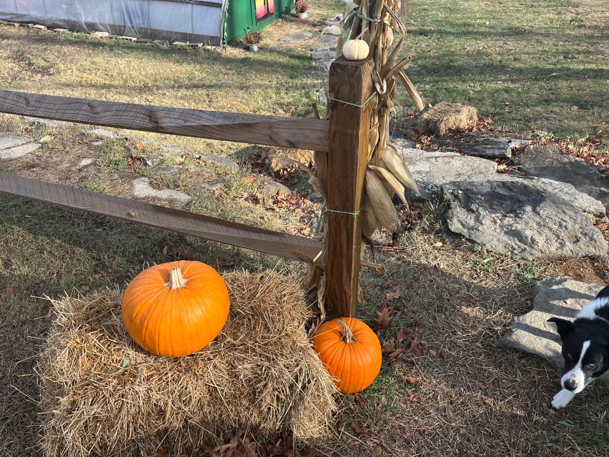 Fall display of hay and pumpkins