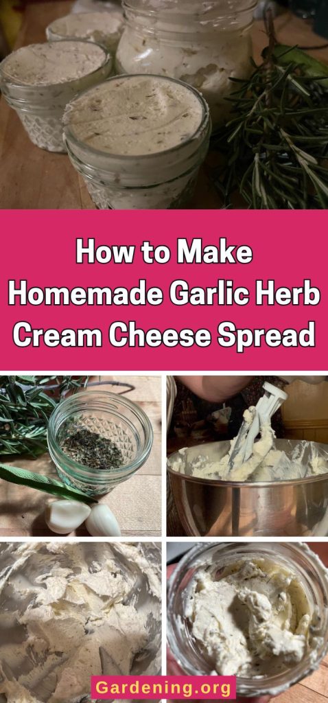 How to Make Homemade Garlic Herb Cream Cheese Spread pinterest image