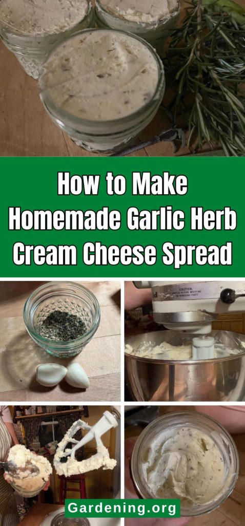 How to Make Homemade Garlic Herb Cream Cheese Spread pinterest image