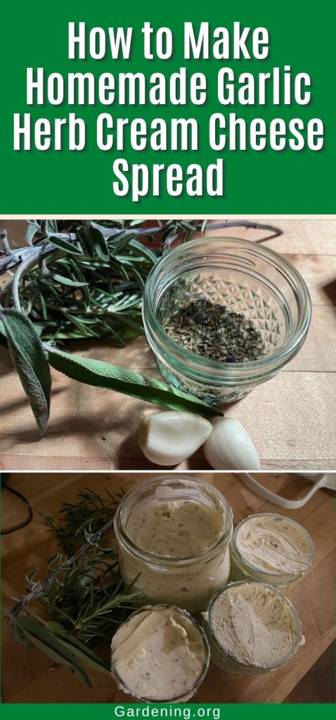 How to Make Homemade Garlic Herb Cream Cheese Spread pinterest image