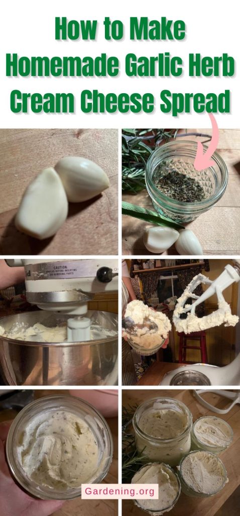 How to Make Homemade Garlic Herb Cream Cheese Spread pinterest image